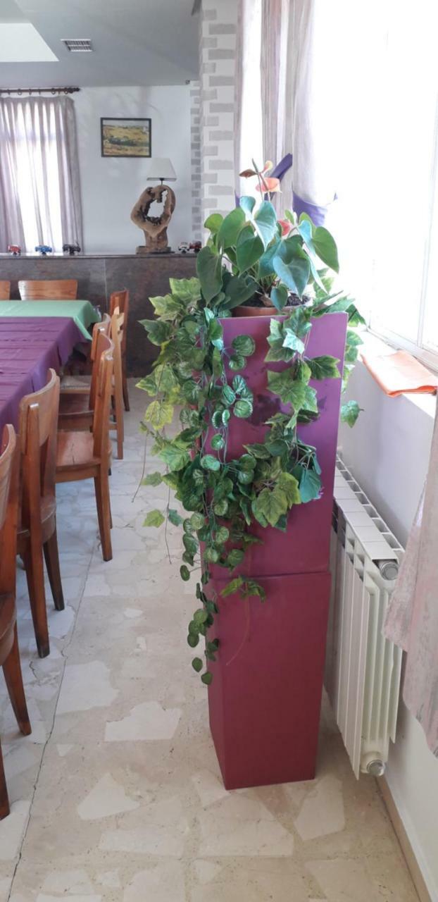 Hostal El Tropezon Matallana de Valmadrigal Kültér fotó